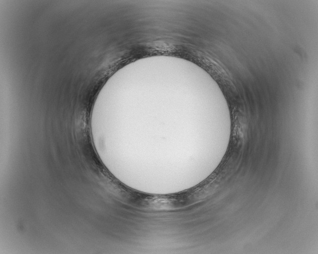 X0000115020518200911161448