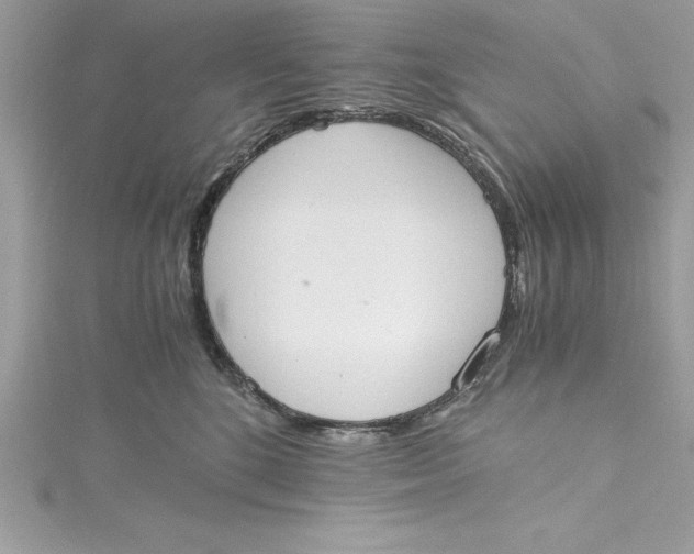 X0000115020520200911161448