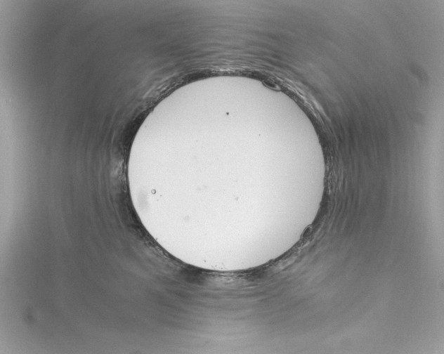 X0000115020521200911161448