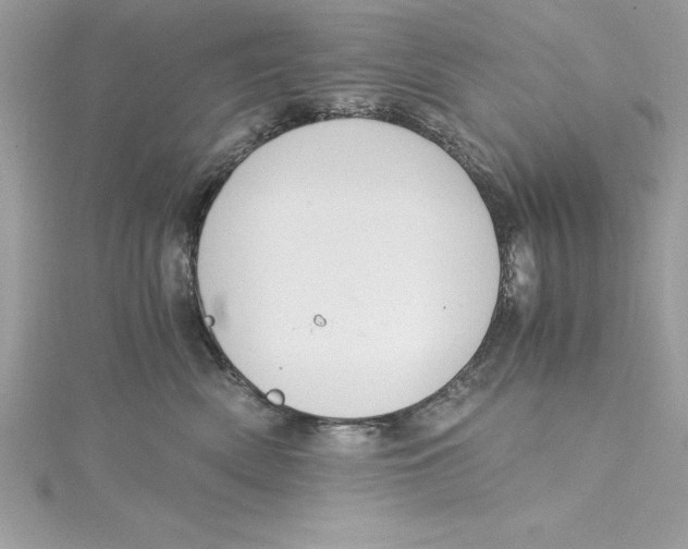 X0000115020522200911161448