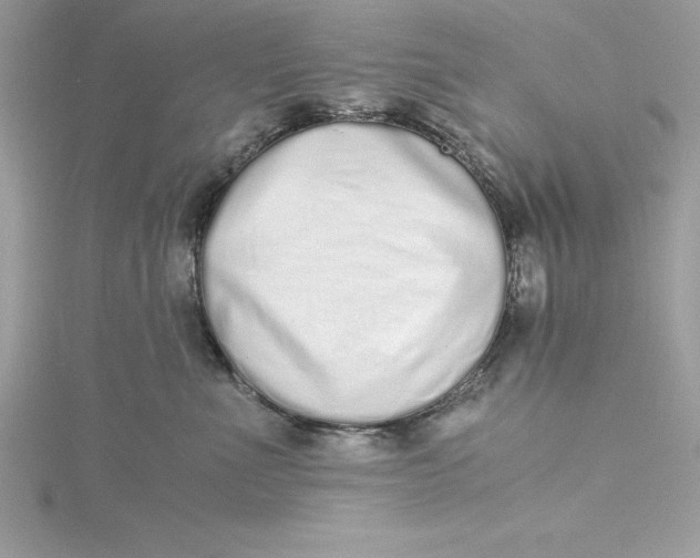 X0000115020523200911161448