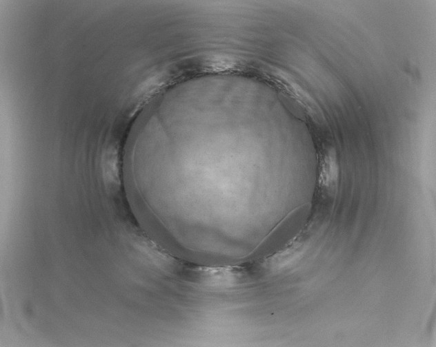 X0000115020524200911161448