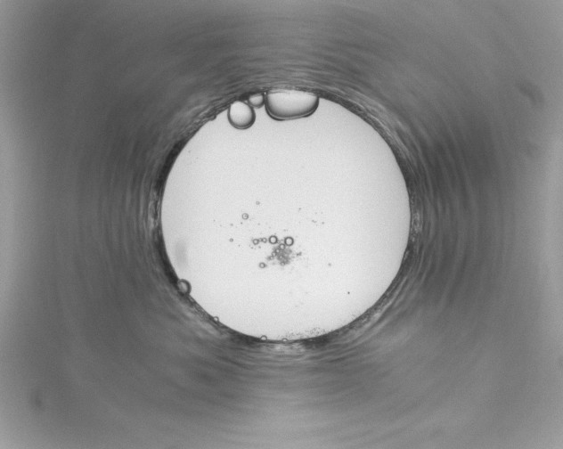 X0000115020525200911161448