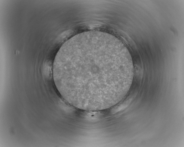 X0000115020527200911161448