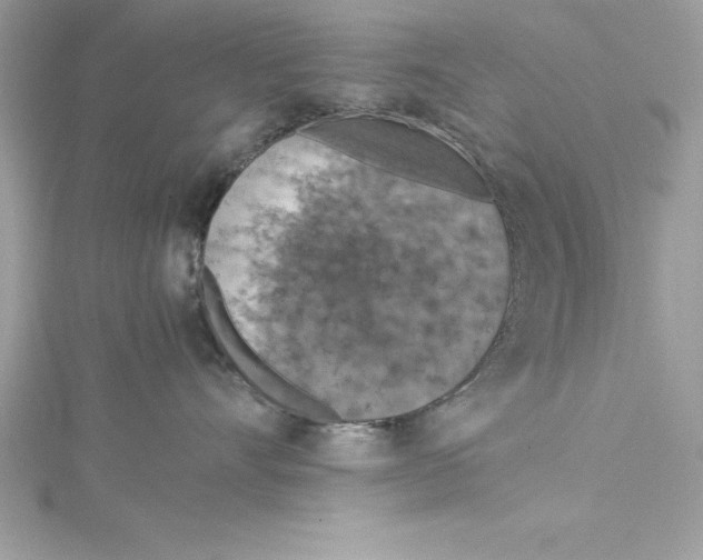 X0000115020528200911161448