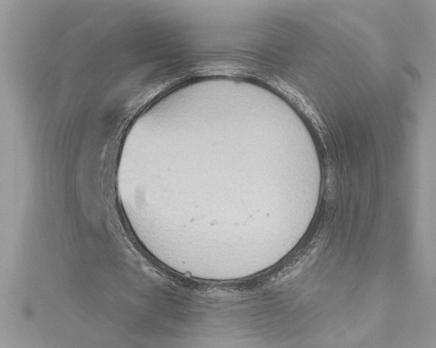 X0000115020529200911161447