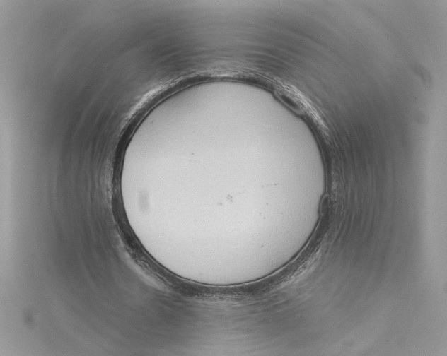 X0000115020530200911161448