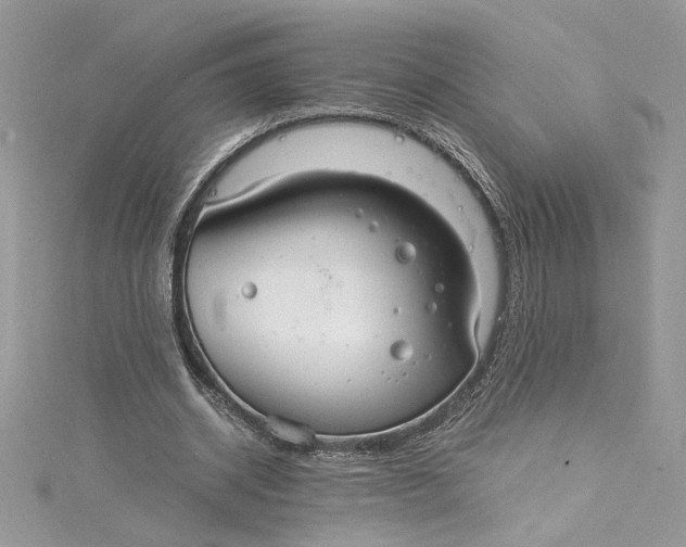 X0000115020534200911161448