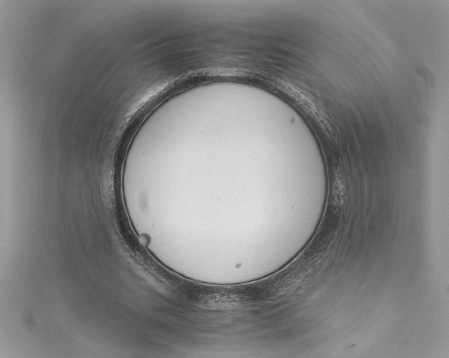 X0000115020535200911161448