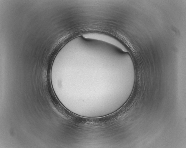 X0000115020538200911161448