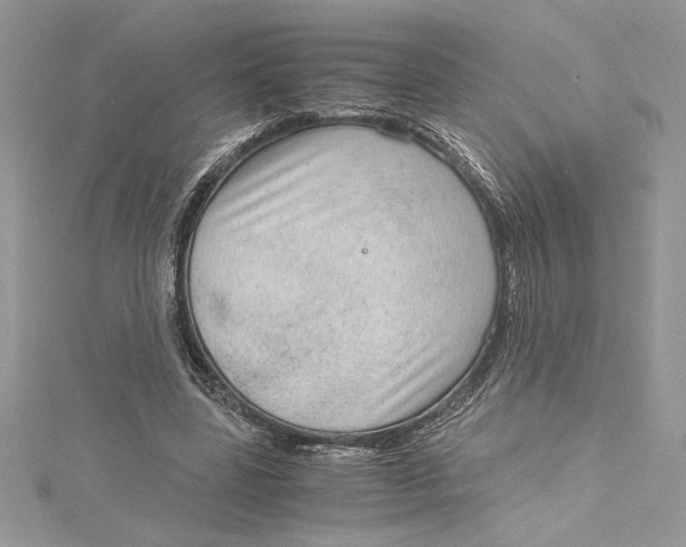 X0000115020539200911161448