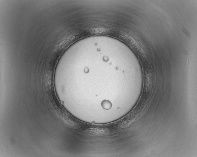 X0000115020545200911161448