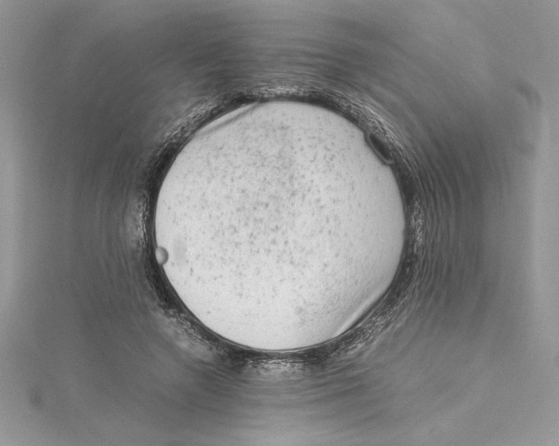 X0000115020546200911161448