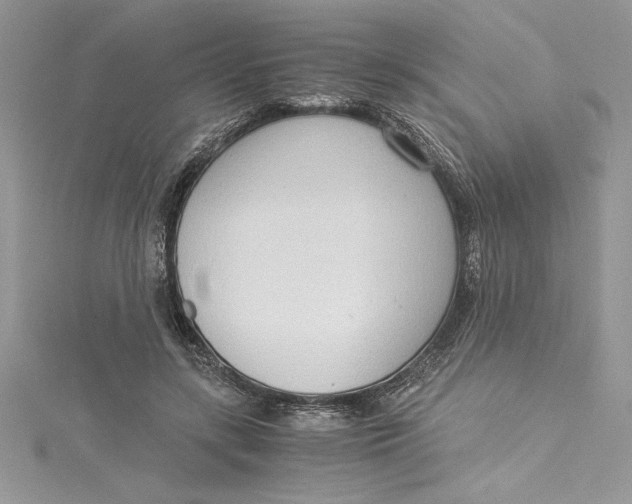 X0000115020547200911161448