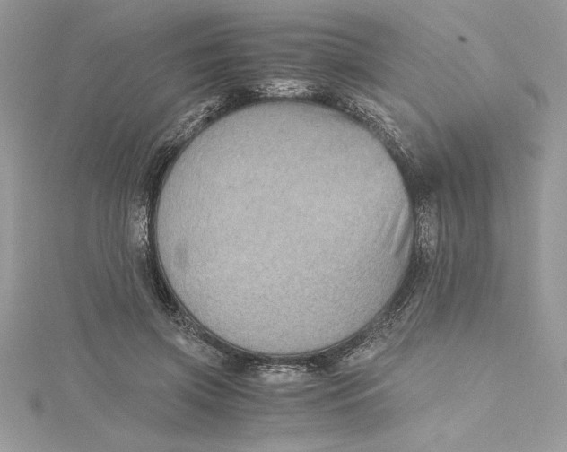 X0000115020549200911161448