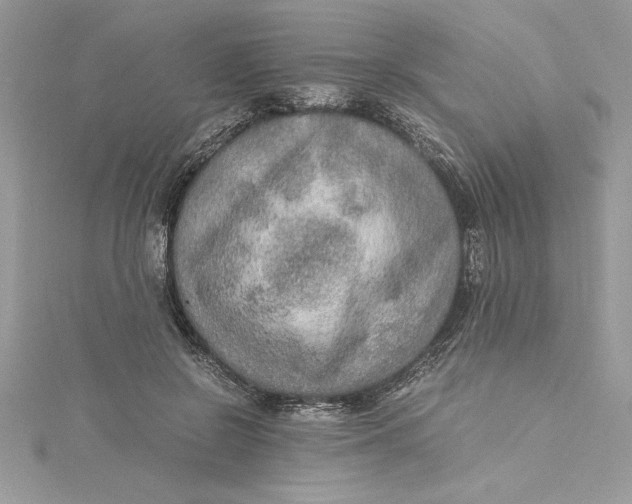 X0000115020550200911161448