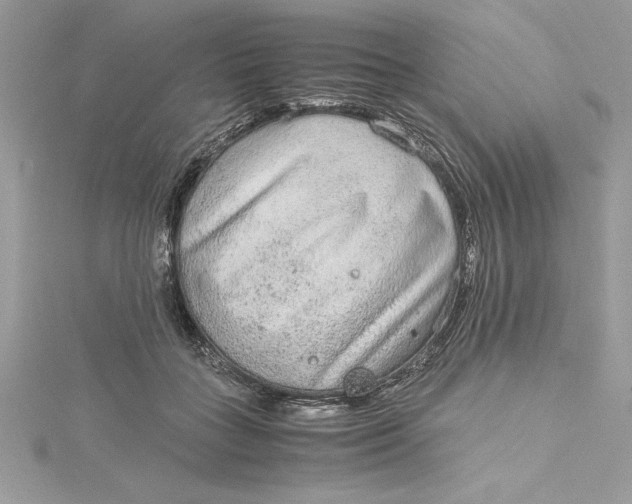 X0000115020555200911161448