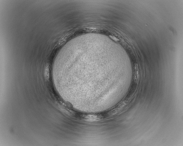 X0000115020562200911161448