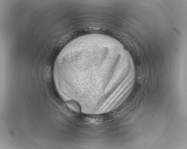 X0000115020563200911161448