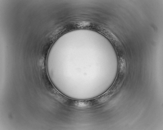 X0000115020565200911161448