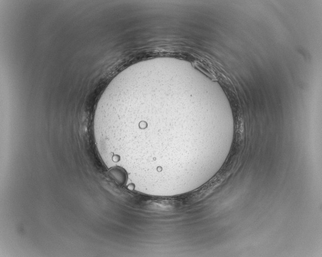 X0000115020567200911161448