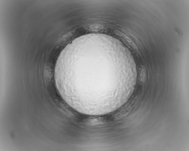 X0000115020569200911161448