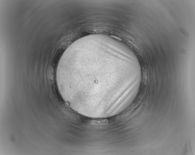 X0000115020571200911161448