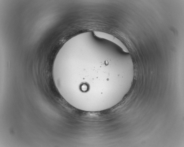 X0000115020573200911161448