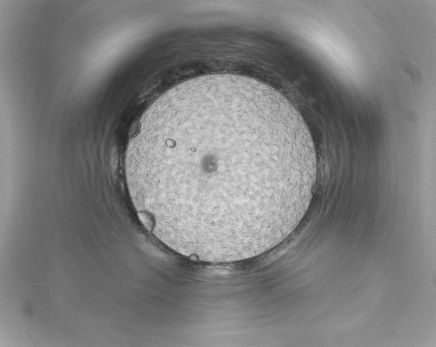 X0000115020574200911161448