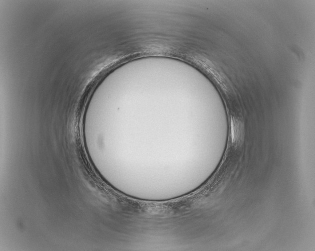 X0000115020579200911161447