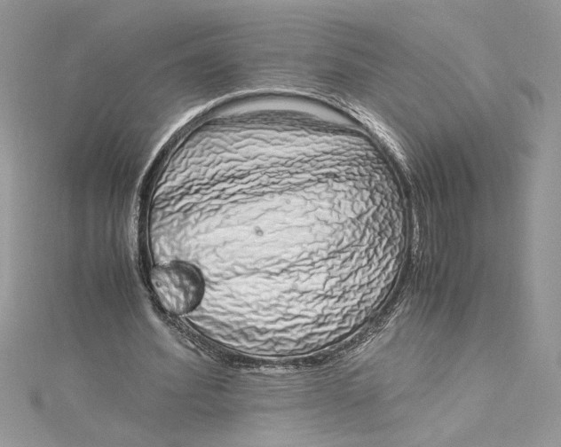 X0000115020580200911161447