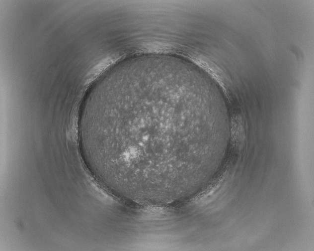 X0000115020581200911161447