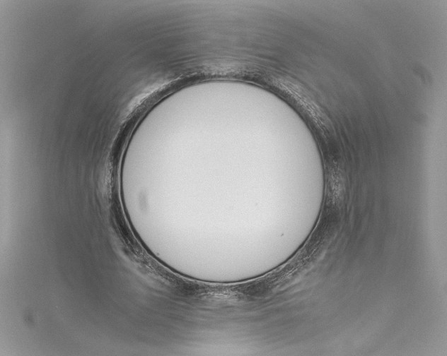 X0000115020583200911161447