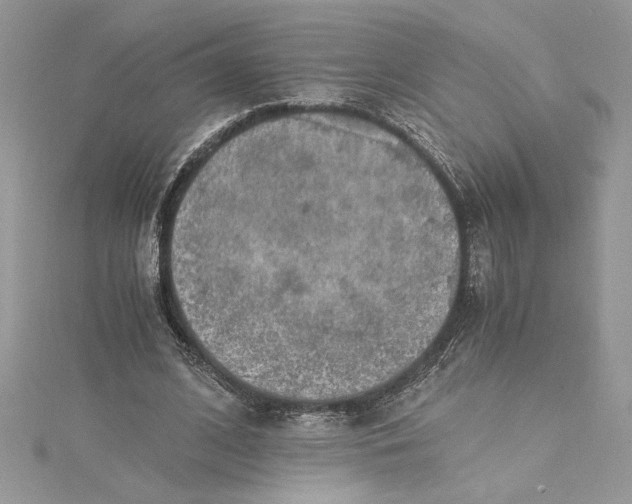 X0000115020584200911161447