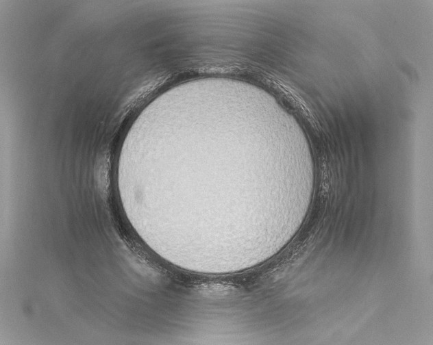 X0000115020586200911161447