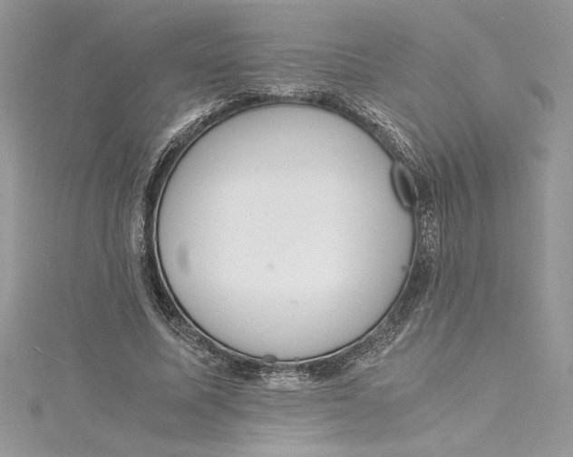 X0000115020587200911161447