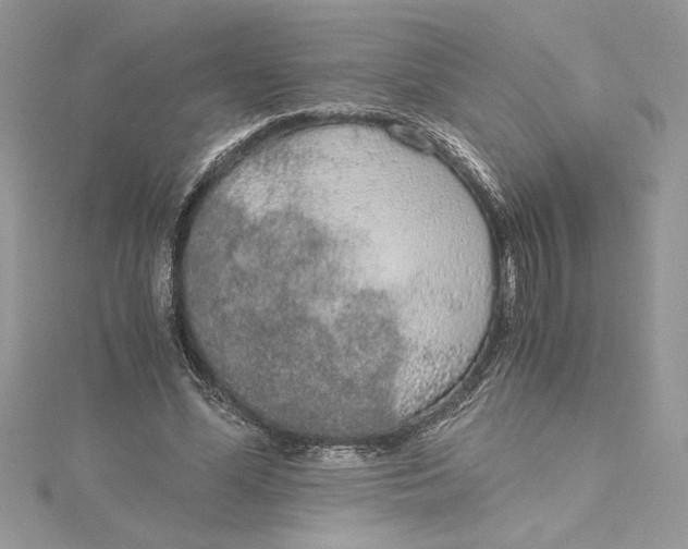 X0000115020588200911161447