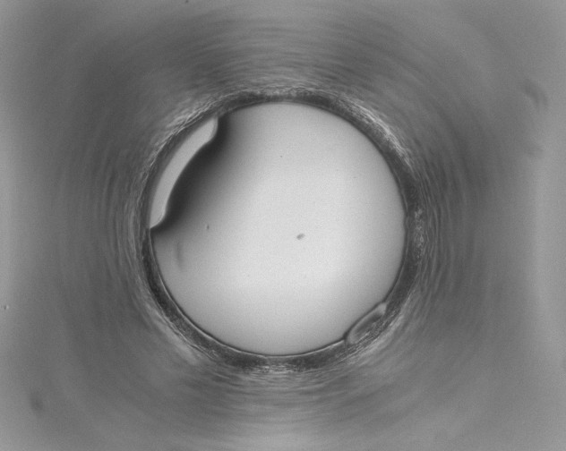 X0000115020589200911161447