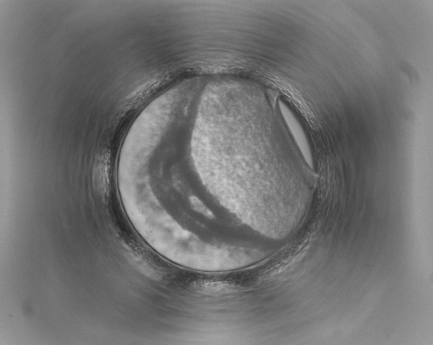 X0000115020590200911161447