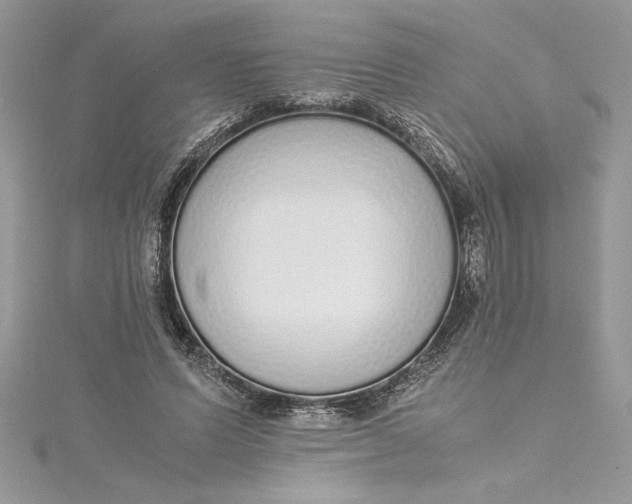 X0000115020591200911161447