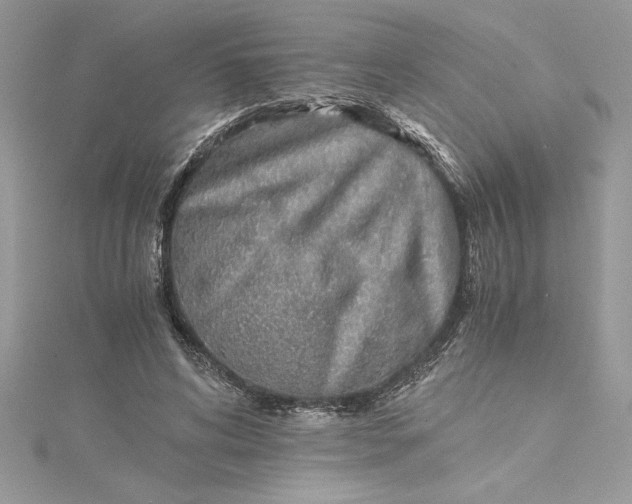 X0000115020592200911161447