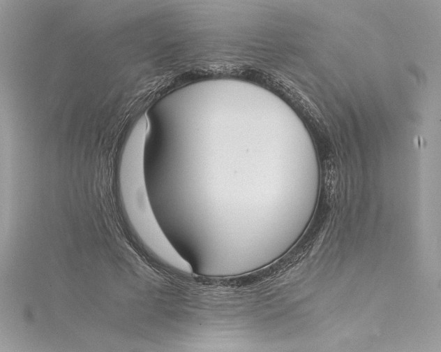 X0000115020593200911161447