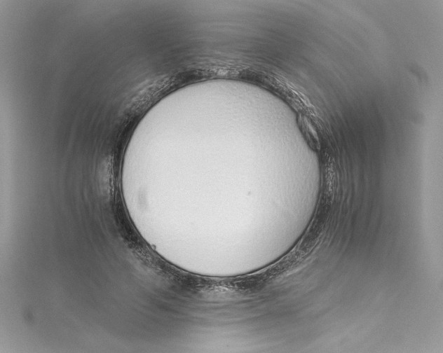 X0000115020594200911161447