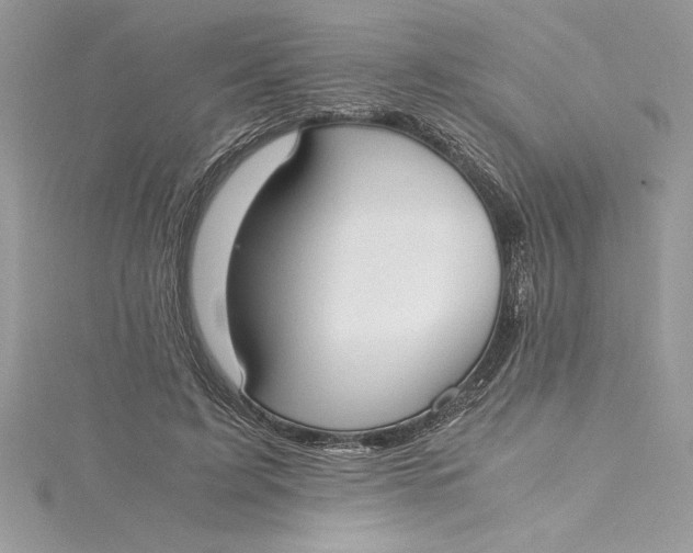 X0000115020595200911161447