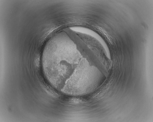 X0000115020596200911161447