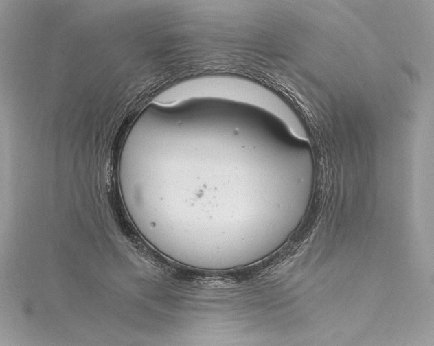 X0000115020597200911161447