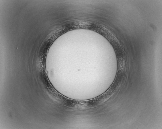 X0000115020599200911161447