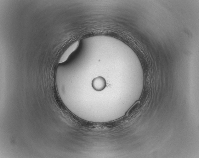 X0000115020601200911161447