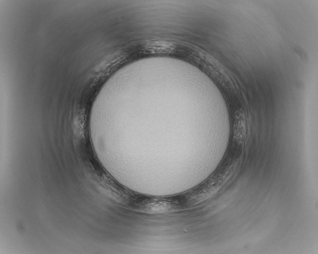 X0000115020604200911161447