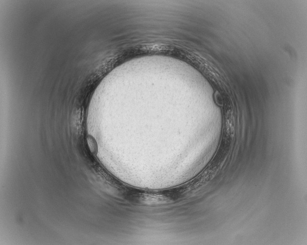 X0000115020605200911161447